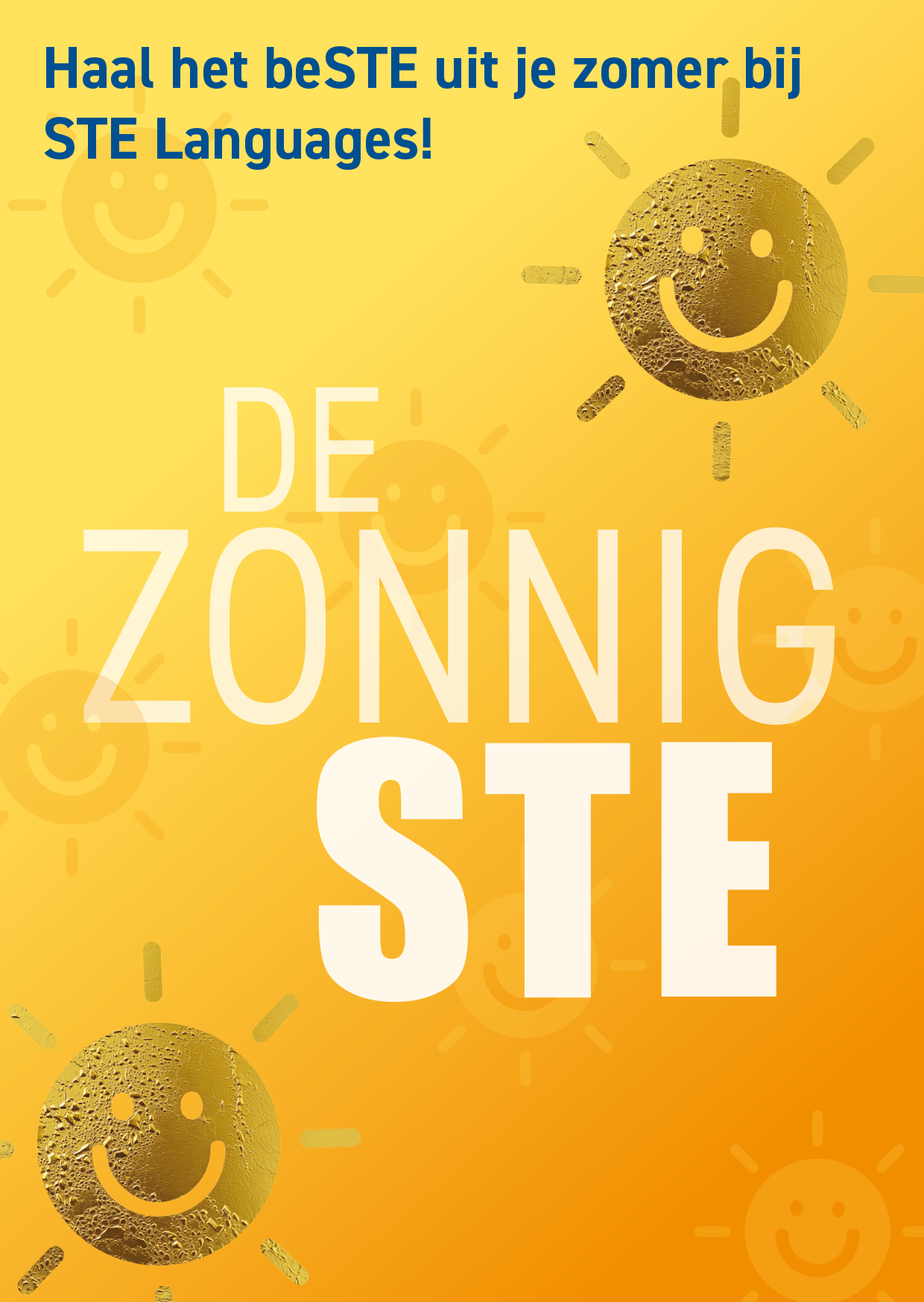 Kaart zomer 2026 STE-1